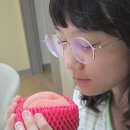 (주)온더마켓 | 믿을 수 있는 택배과일, 주주스마켓 복숭아와 아오리사과 후기