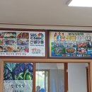 산골쌈밥