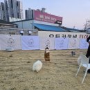 하울리데이 이미지