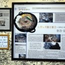 황소고집 - 중랑구 망우로62길 69 | 황소고집