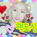 힛또 이미지