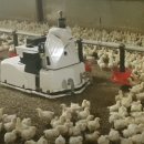 세계축산 이미지