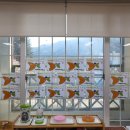 자연숲속나라어린이집 이미지