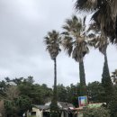 씨유 제주서해안로점 이미지