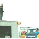 팀맥스파워 이미지