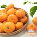 내외로L 이미지