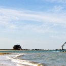 비체팰리스콘도 이미지