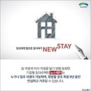 수정스테이 이미지