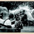 자연과 나 이미지