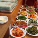한결자연학교 Daum카페