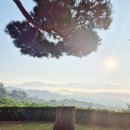 노고마주 | 구례] 수영장 깊고 넓고 평상에서 바베큐 가능한 독채펜션 '노고마주' 내돈내산 진짜 💚정성💛들여 쓴 후기