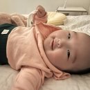 모다다원 이미지