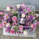 중동할머니경로당 이미지