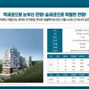 향동스토리 이미지