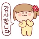 크림부동산중개사무소 이미지