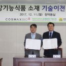 안면청과 이미지