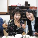 미농식당 Daum카페