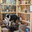 문정로-8 | 부안 봉덕리 크래프트 스튜디오에서 브런치 내돈내산 솔직 후기