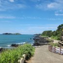 제주 올레길 12코스 이미지