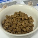 써니PC | 로얄캐닌 강아지 무료 사료샘플 후기 + 신청방법