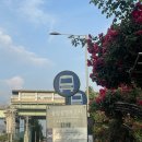 고강공영버스차고지 | 서울 버스 분실물 찾는 일상 후기 : 두고 내린 오리 우산