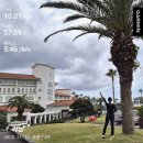 남태해안로 이미지