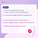 부평비닐봉투