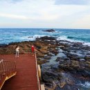 힐링낚시까페 이미지