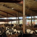 크로바목장 이미지