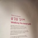 2023 전시공간 활성화 지원 사업 <숲길을 걸으며>展 이미지