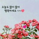 향기 Daum카페