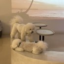 불곡로13번길 이미지