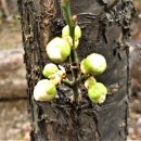 새희망 행정사사무소 이미지