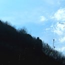 들가운데농장 이미지