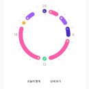 31회 궁디팡팡 캣페스타_ 학여울역 세텍
