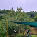 경북 영양군 수비면 주택 매매(1900평 농지 무상임대, 태양광, 전기차충전기 등) 이미지