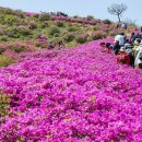 biking tour 황매산 (합천군) 이미지