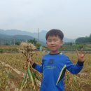 단양유기농원 이미지