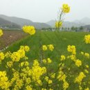 오수리농장 네이버블로그