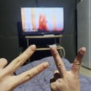 서천갯벌체험글램핑 | [충남 서천 여행] 갯벌체험에 글램핑까지 제대로 즐기는 여행 코스🤗