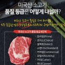 대박낙소 이미지