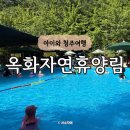 옥화자연휴양림 | 옥화 자연휴양림 수영장 여름 물놀이 숲속 놀이터 후기