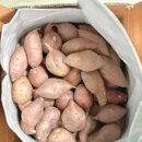 민정농장2 이미지