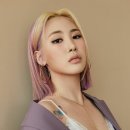 스타일콕 이미지