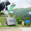 곰고개식당 이미지