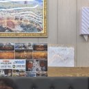 강구식당 | 영덕 나비산 기사식당 전현무계획 강구맛집 솔직후기