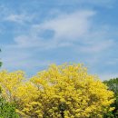 강변의 수채화 이미지