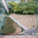 미즈병원 앞 이미지