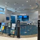 울산대 학생회관 3F | 후쿠오카 여행 필수 코스, 후쿠오카 타워 전망 후기(+모모치 해변)