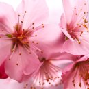 공설운동장 서편 이미지